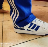 AdidasForum Low White / Blue